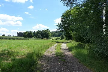 Dolinenlehrpfad - Geologie erleben