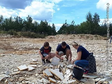 Fossiliensuchen in Solnhofen