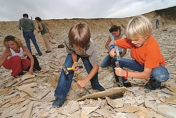 Auf Fossiliensuche im Hobbysteinbruch