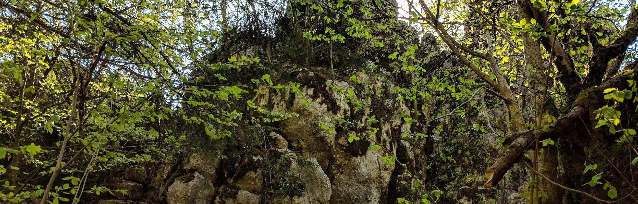 Aussichtsfelsen in der Klamm bei Riedenburg