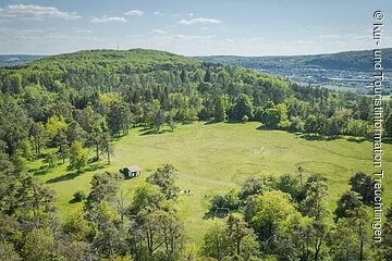 Luftaufnahme eines kleinen Hauses auf einer Wiese. Großer Weitblick mit viel Wald und Grün.