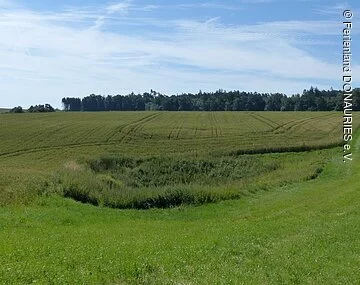 Doline im Feld