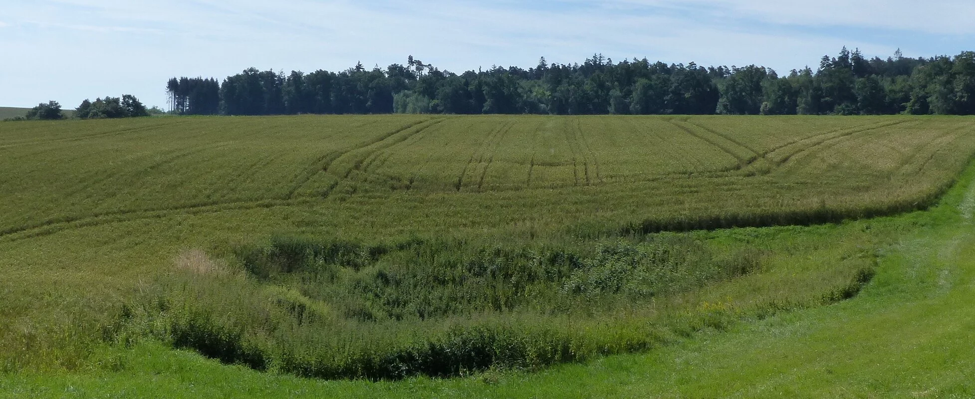 Doline im Feld