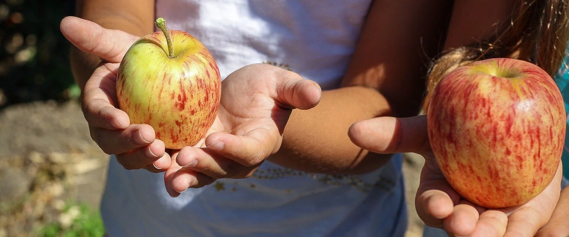 Obstlehrgarten Kehl