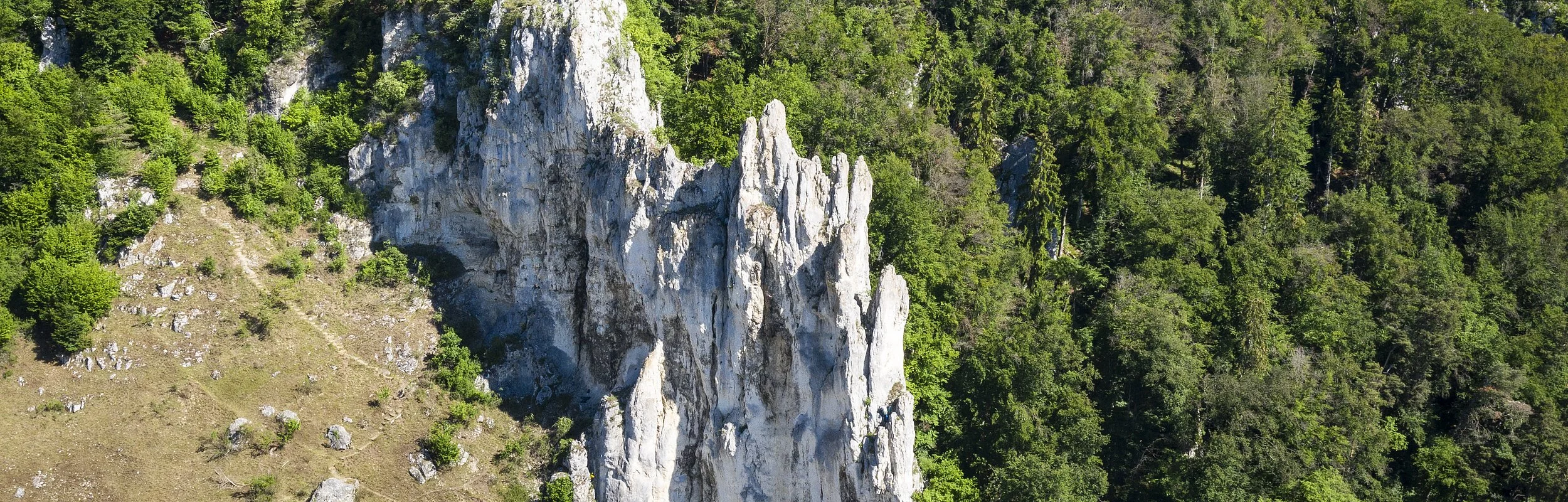 Dohlenfelsen bei Wellheim