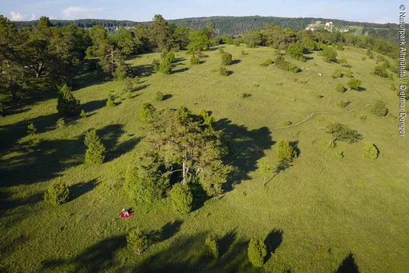 Gungoldinger Wacholderheide - Naturpark Altmühltal (Südliche Frankenalb