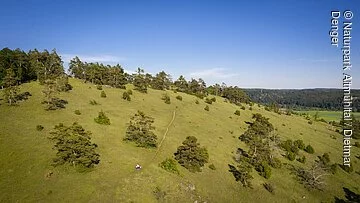 Gungoldinger Wacholderheide