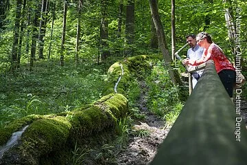 Steinerne Rinne bei Wolfsbronn