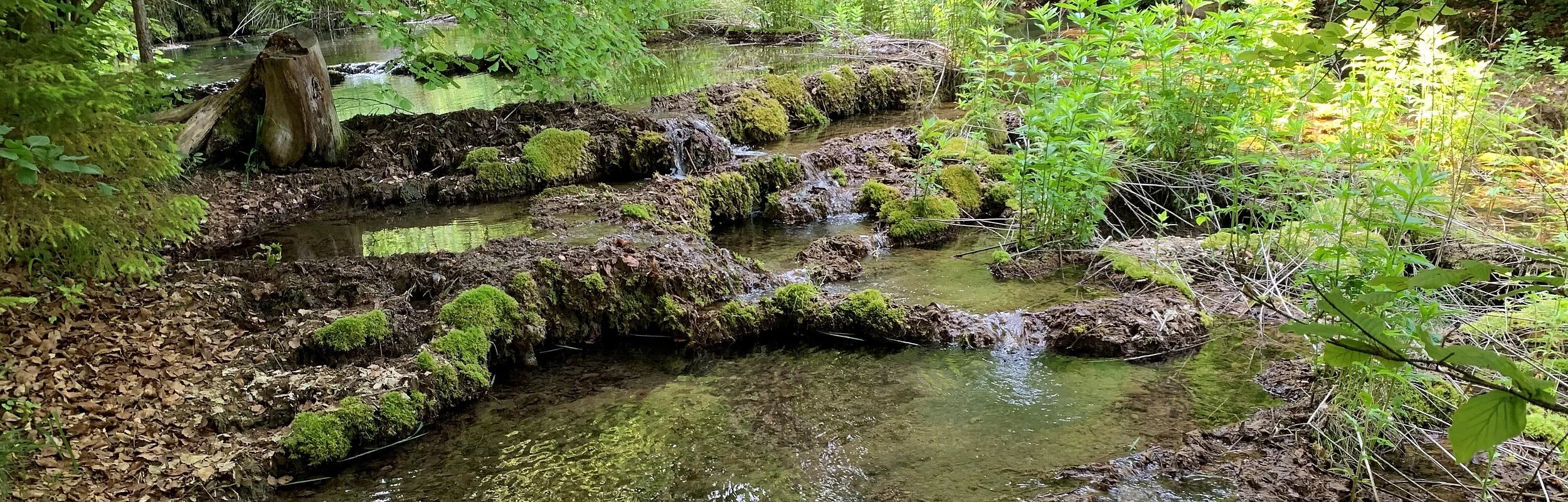 Sinterterrassen im Kaisinger Tal