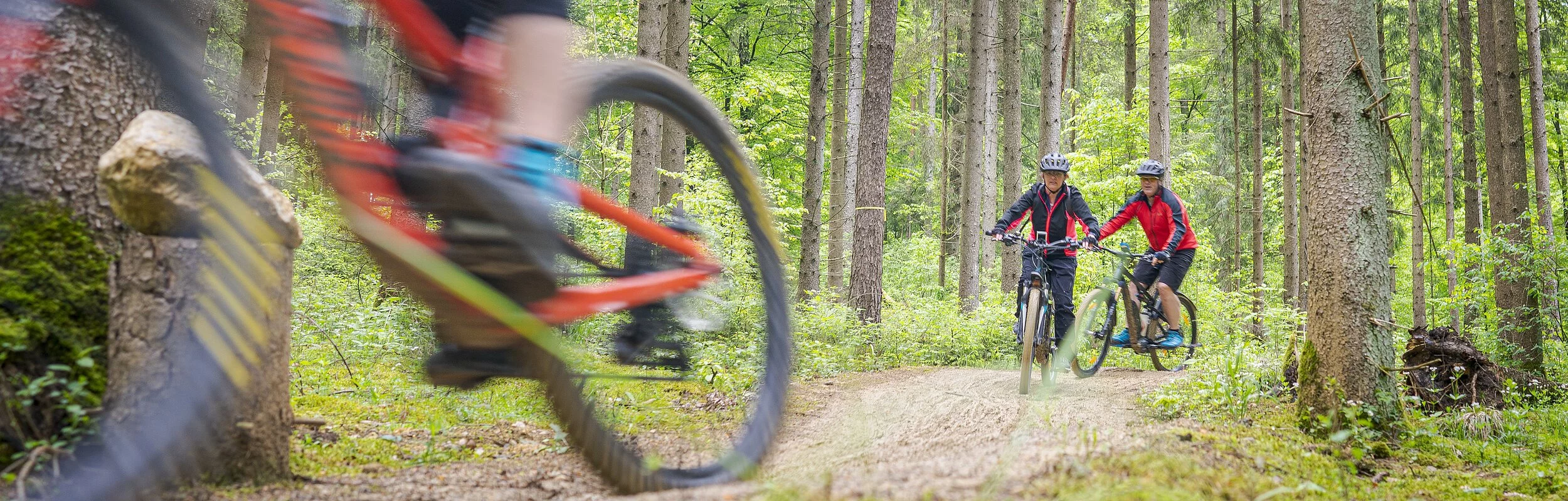 Naturpark Altmühltal Heumöderntrails in Treuchtlingen