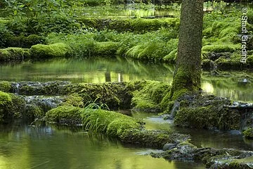 Kalksinterterrassen Kaisinger Tal