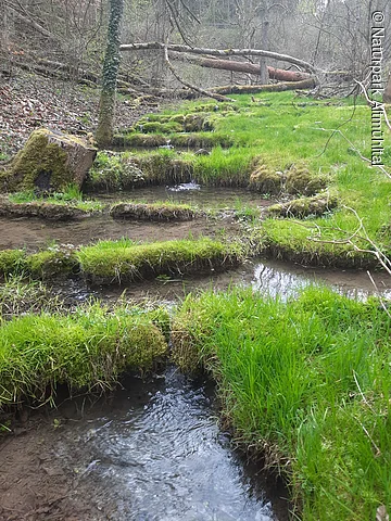 Sinterterrassen Beilngries