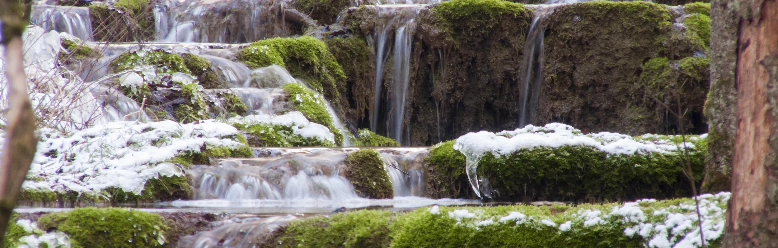 Kaisinger Tal Winter