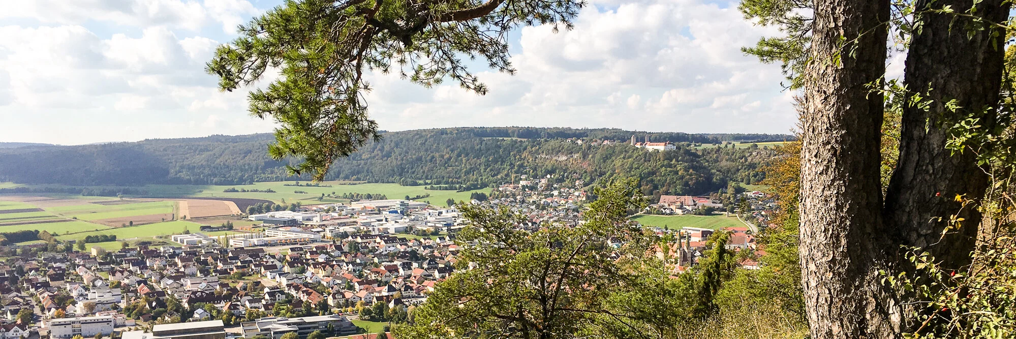 Wanderer mit dem Blick auf Beilngries