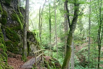 Plazottasteig als Teilstück des Mühlenweges Kipfenberg