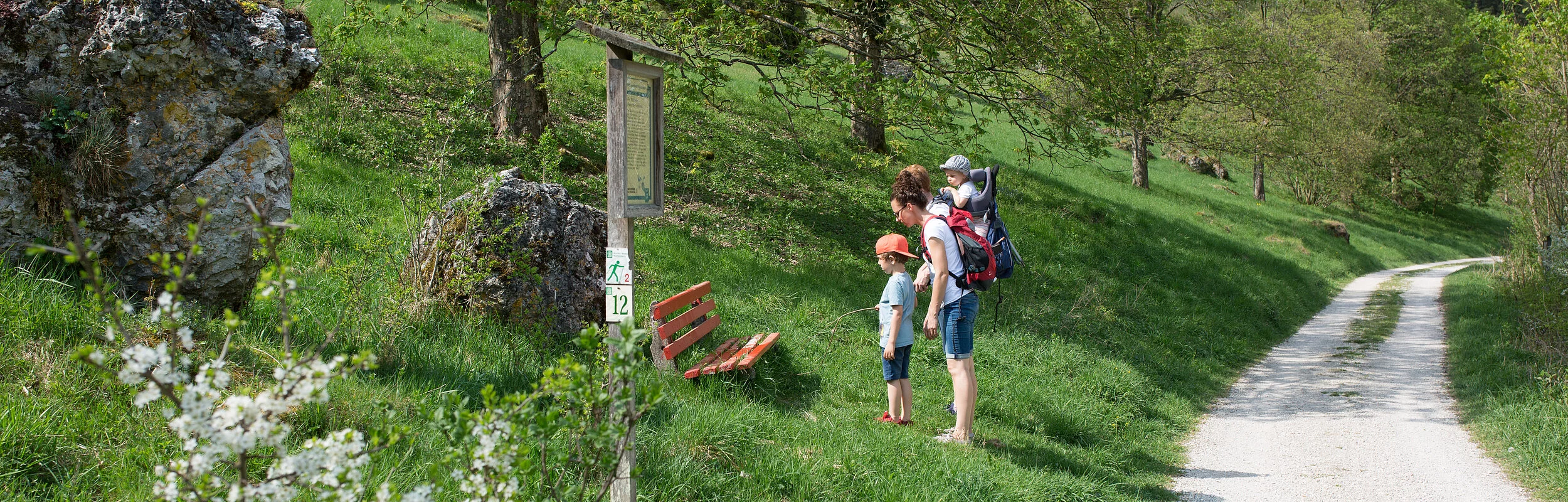 Infotafel am Waldlehrpfad im Birktal