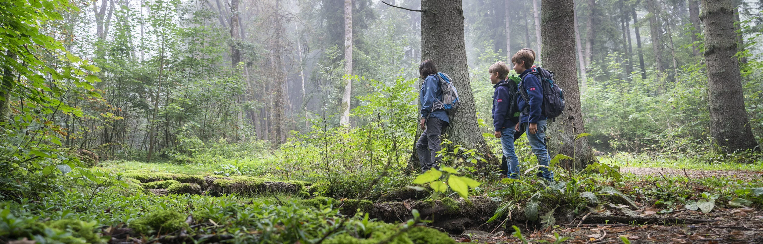 Wandern in der Marienklause