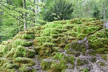 Hoher Brunnen bei Berching