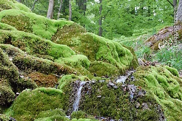 Hoher Brunnen