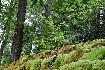 Hoher Brunnen