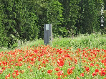 Gläsernes Schutzschild bei Schafhausen