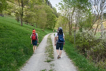 Waldlehrpfad im Birktal Kipfenberg