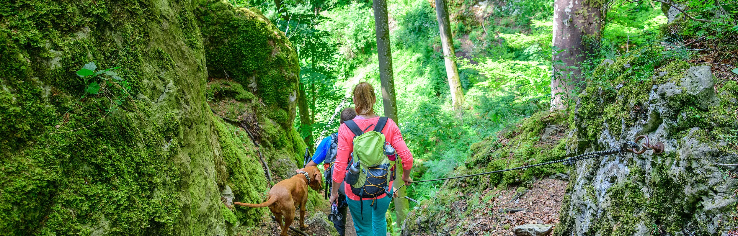 Jägersteig bei Dollnstein