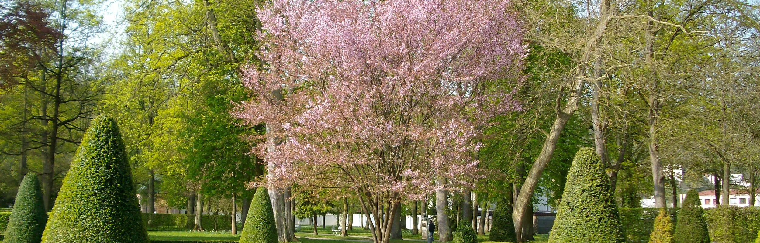 Hofgarten