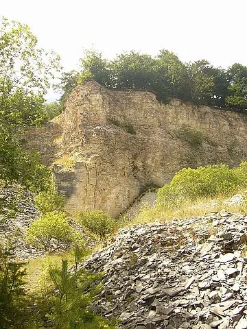 Steilwand des Mörnsheimer Horstbergbruchs