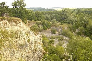 Blick in den ehemaligen Steinbruch