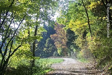 Katzental im Herbst