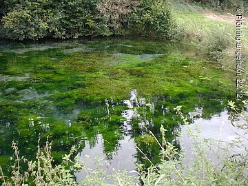 Kelsbachquelle bei Ettling