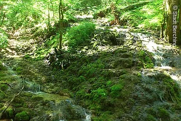 Kalktuffkaskaden bei Holnstein