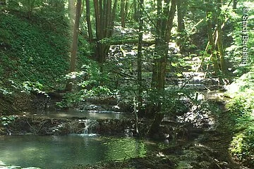 Kalktuffkaskaden bei Holnstein