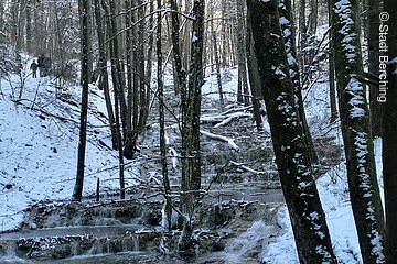 Kalktuffkaskaden bei Holnstein